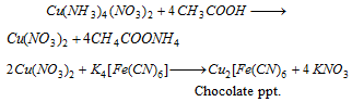 1023_wet test for basic radical19.png